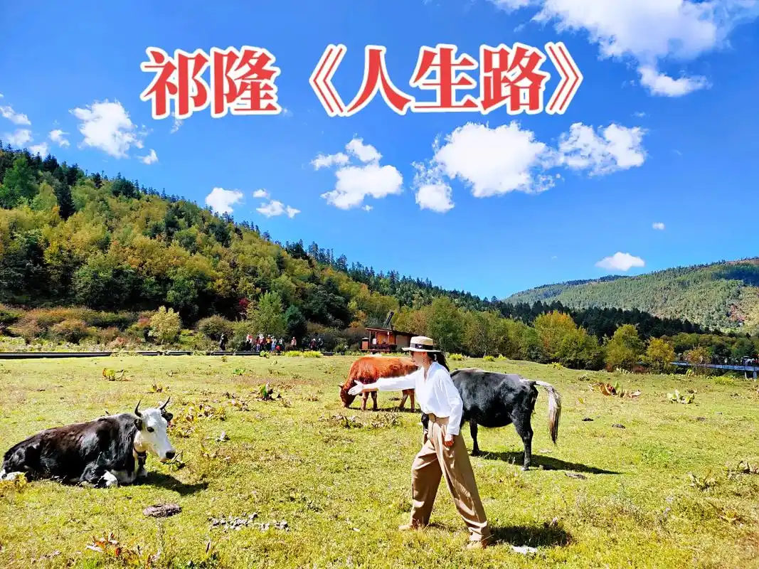 抖音图文来了祁隆 老师的人生路 歌声绕梁动听,歌词句句真理 - 抖音