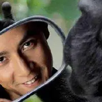 我是吴彦祖表情包高清_微信头像图片大全