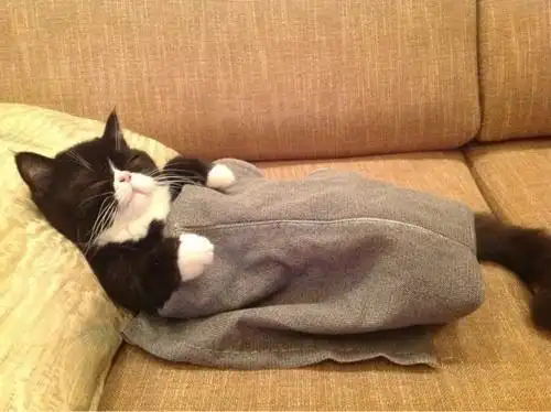 麻麻,哥哥生毛病了,我一家头去困觉觉了