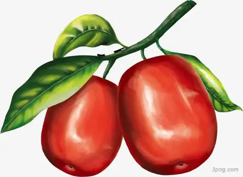 标签:枣枣子红枣食物卡通红枣大枣