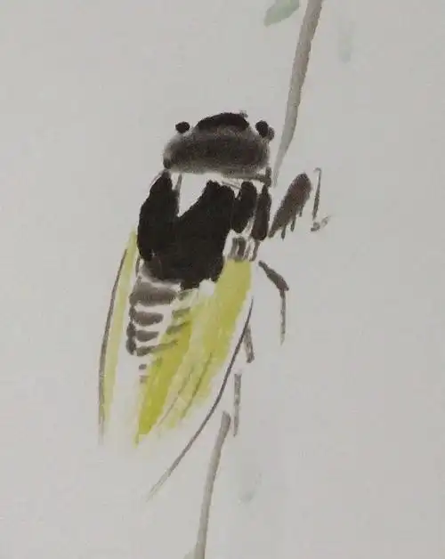 国画技法讲堂丨蝉的小写意画法