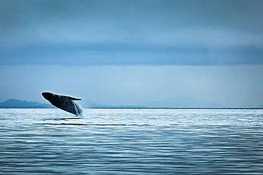 海洋图片_海洋图片大全_海洋图片素材