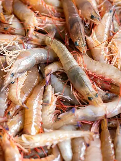 好吃到跳海!整个嘴巴都是海麻虾的味道75