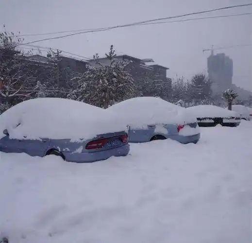 2008年,湖北男子花20万买了一条受伤的鲶鱼,3年后靠它年入1亿元