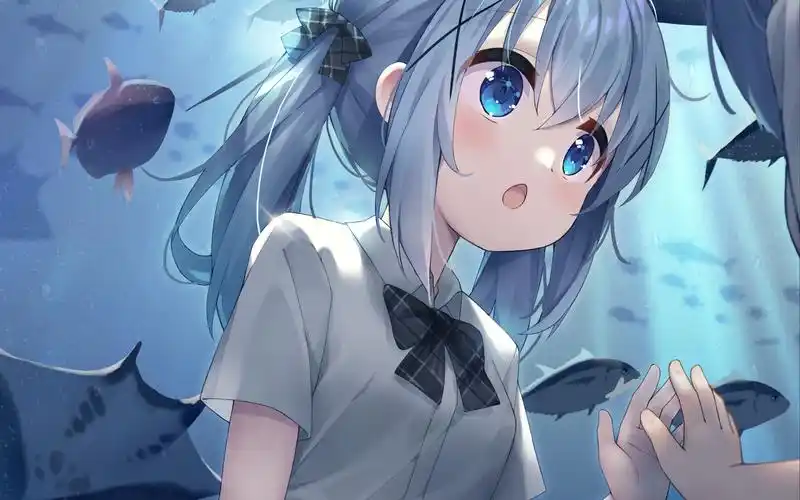 【自绘】4k动画短片 和智乃一起在水族馆约会_哔哩哔哩_bilibili