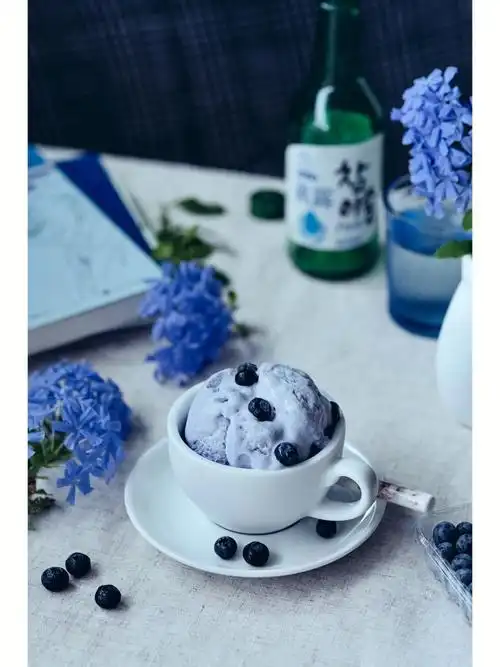 蓝莓冰淇淋蓝雪花以及蓝色的书