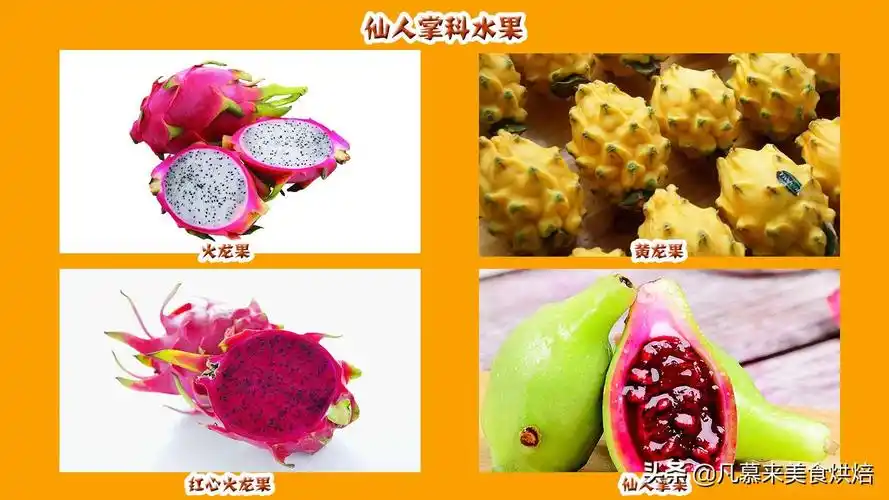 42个科154种水果别说吃过,你见过多少