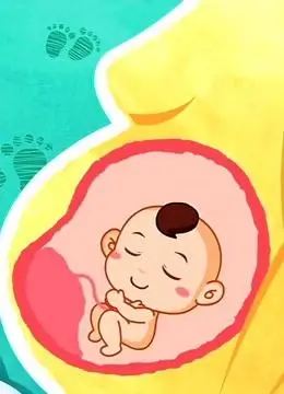第100集 宝宝从哪来