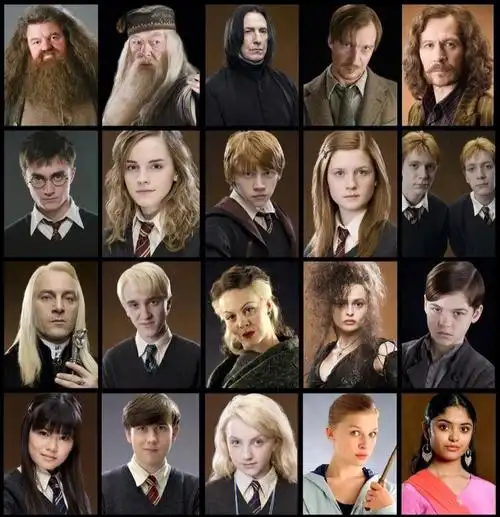 哈利波特里你最喜欢谁
