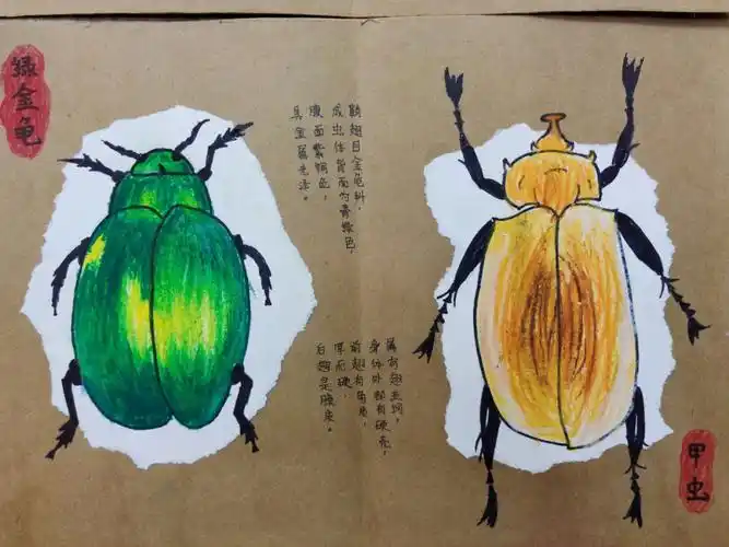 昆虫记创意美术