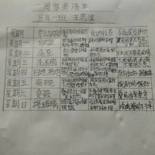 一周家务清单