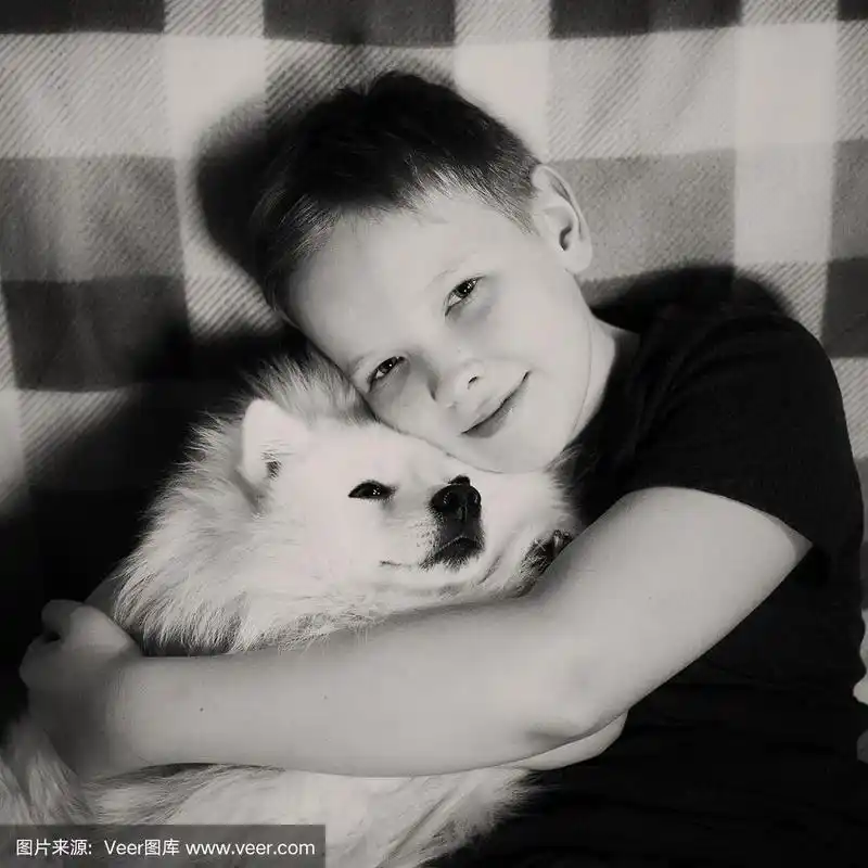 男孩抱着一只白色的狗,充满爱意