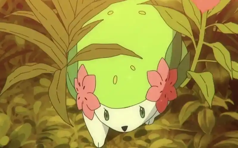 【宝可梦】小刺猬谢米,心都被萌化了,居然变换形态后还会飞?