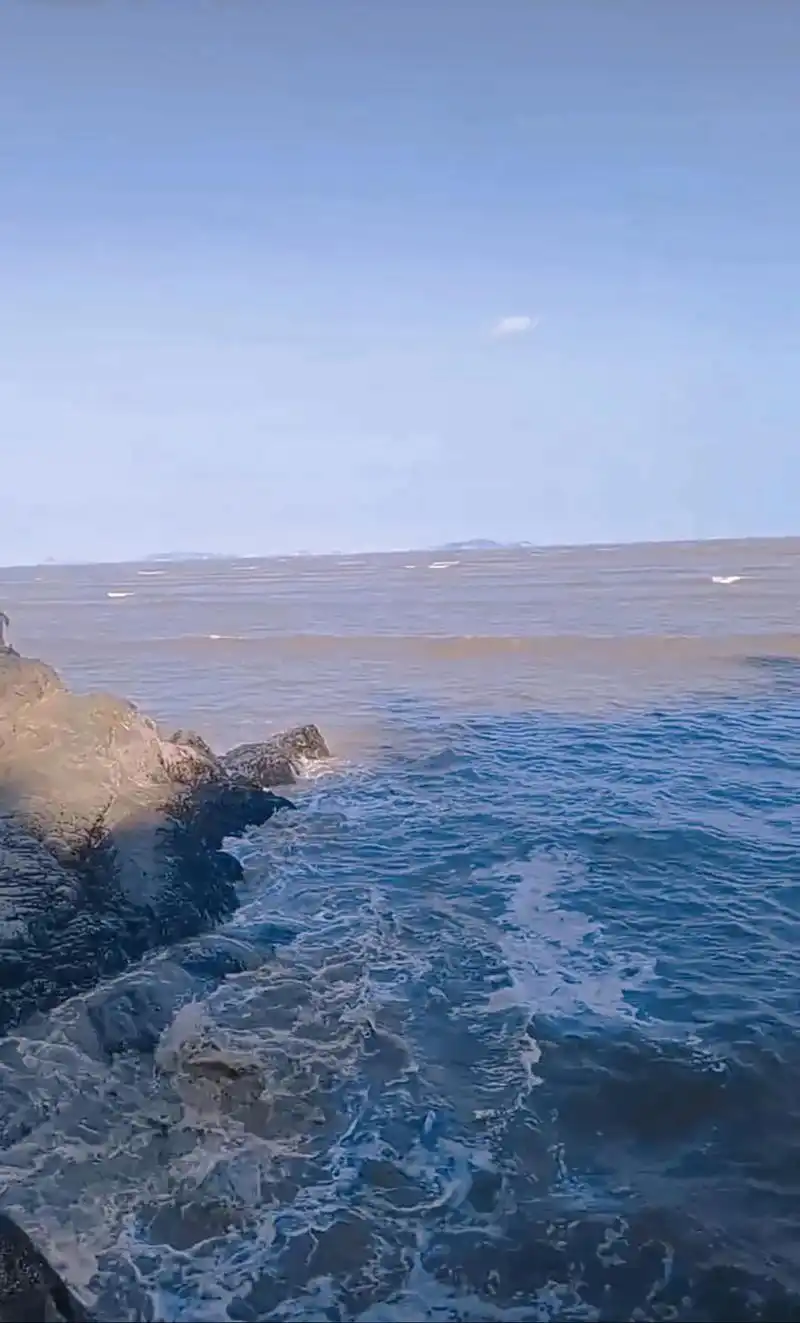 粤语版和国语版的大海,你们更喜欢哪个#大海#经典老歌 #大海 - 抖音