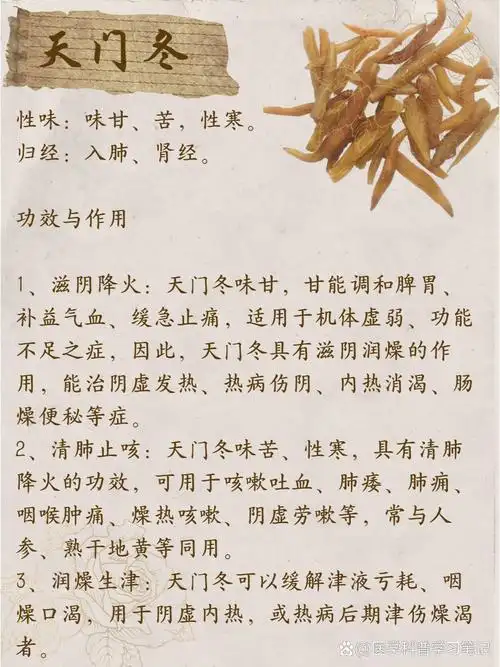 每天认识一味中药——天门冬