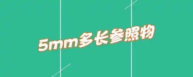 5mm多长参照物