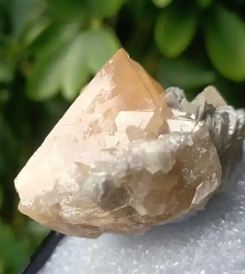 欢迎大家围观,捡漏.