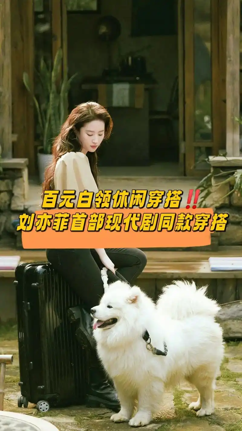 刘亦菲首部现代剧穿搭同款被扒