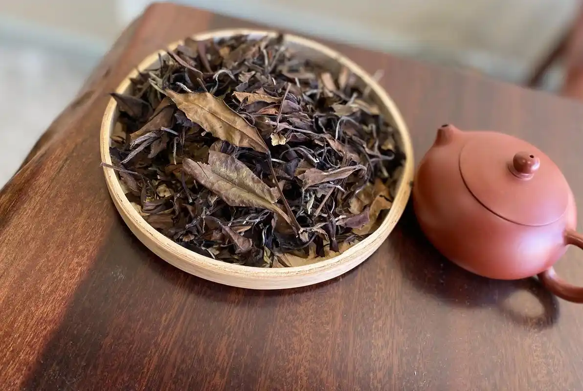 寿眉是生活中常见的白茶品种!