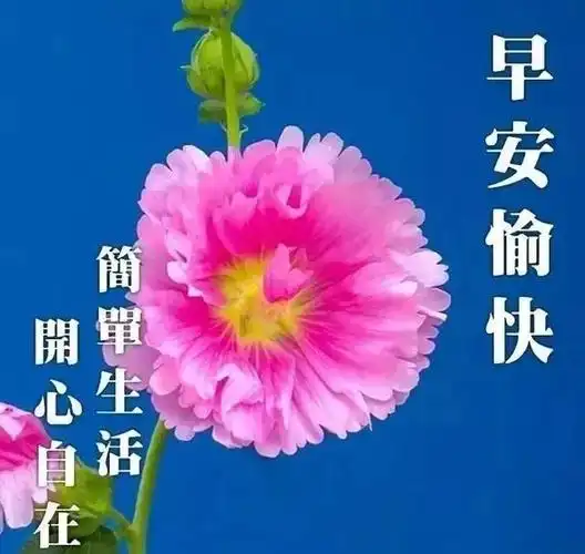 周六清晨问候语祝福语简短温馨早上问好图片大全最新