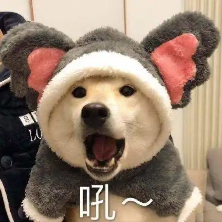 萌宠汪星人吼张大嘴巴呆萌可爱gif动图_动态图_表情包下载_soogif