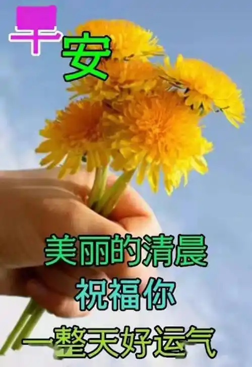 不用打字就可以聊天的图片