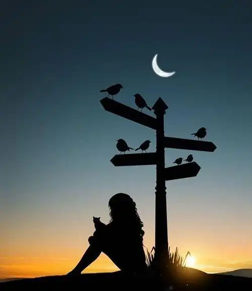 最心酸最无奈的句子(现实生活又很扎心的句子)