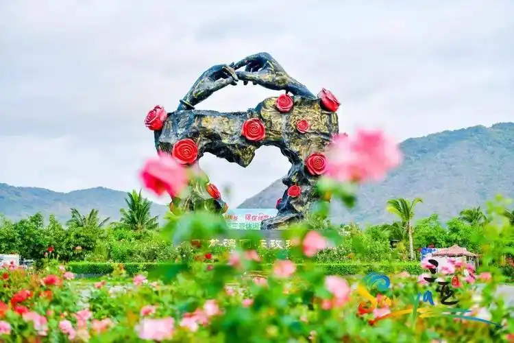 【每日一景·3a景区】亚龙湾国际玫瑰谷