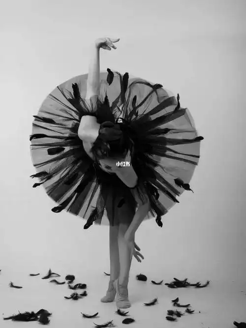 创意舞蹈黑天鹅舞蹈拍摄