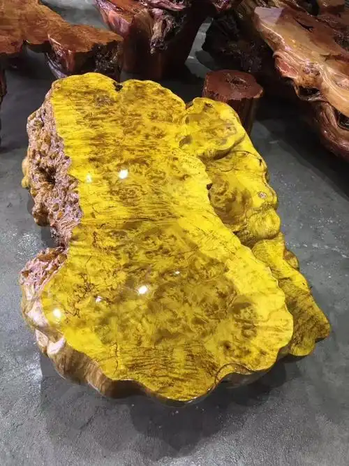 黄金樟颜色呈黄金色,非常的精美华丽,其木材的纹理清晰而且独特,色泽