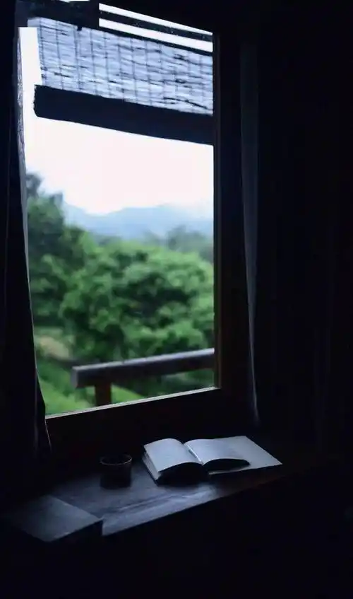 独处,是一个人的清欢.