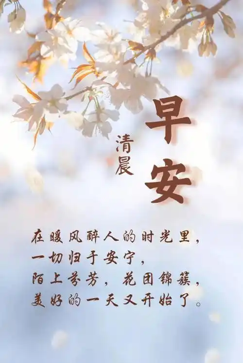 25条早安/暖心朋友圈问候语,建议收藏!