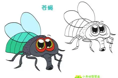 苍蝇的简笔画 苍蝇的简笔画怎么画