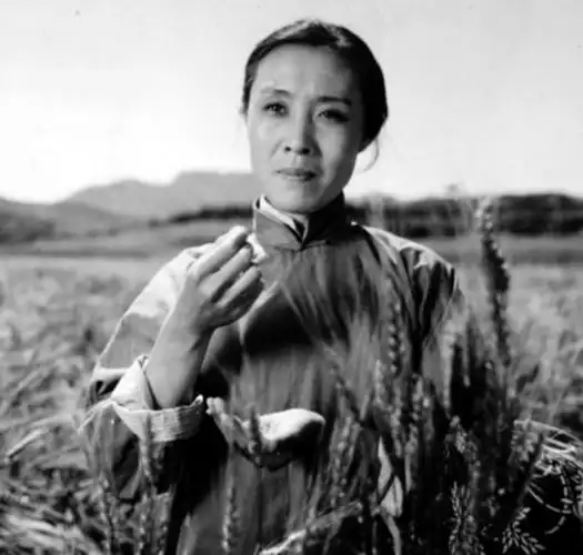 回顾国家一级演员王玉梅荧屏上的国民妈妈生活中亏欠的却是儿子