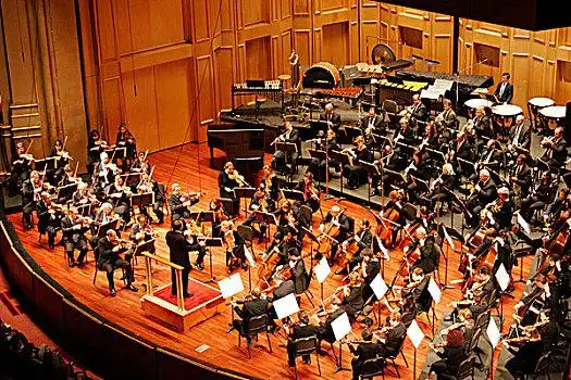 圣地亚哥,交响乐团,指挥,交响乐,加利福尼亚,美国