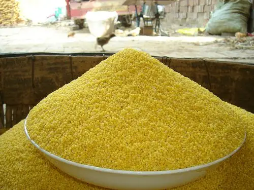 2017新农家黄小米月子米食用小黄米新米杂粮粮食煮粥米油500克