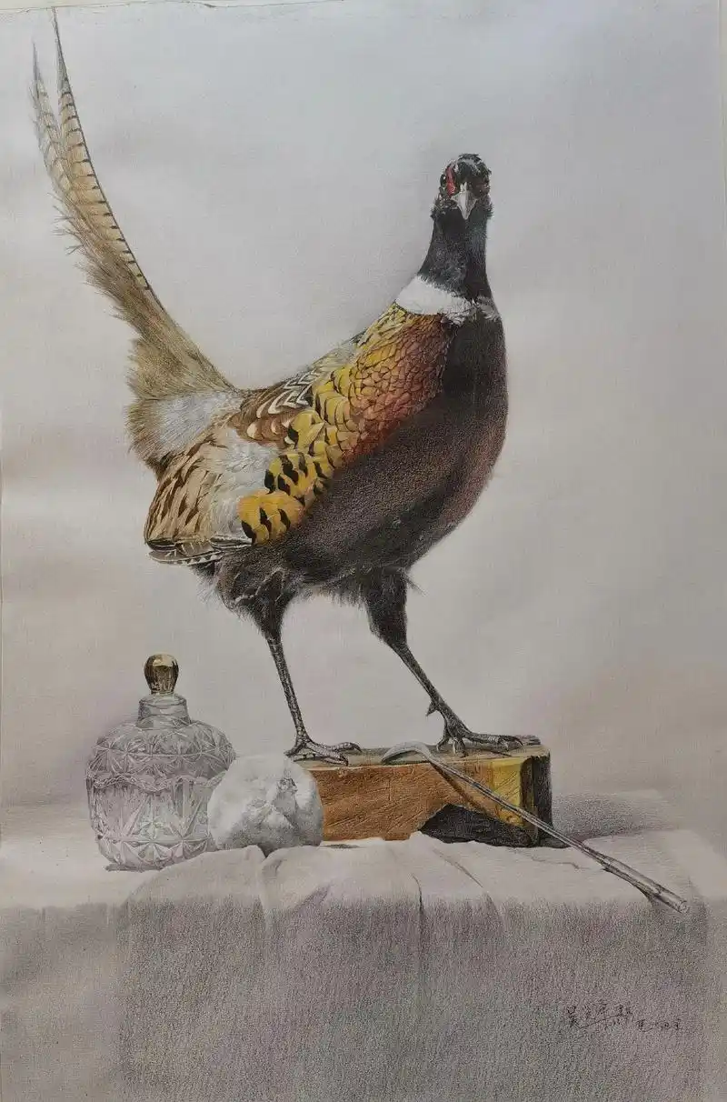 素描中的彩铅画(≧63≦)/去年暑假素描课选的准备用来示范的画 - 抖