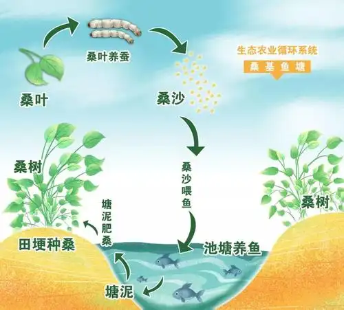 桑基鱼塘对外部粮食的天然需求打破了自给自足的自然经济状态,培养了