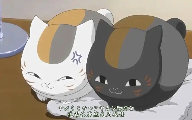 娘口三三你快失宠了这是双胞胎吗 嘤嘤嘤