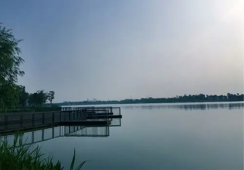 《鹃湖之美》摄于海宁市鹃湖(手机版)