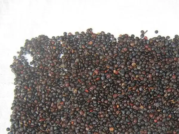 枳椇子的功效与作用