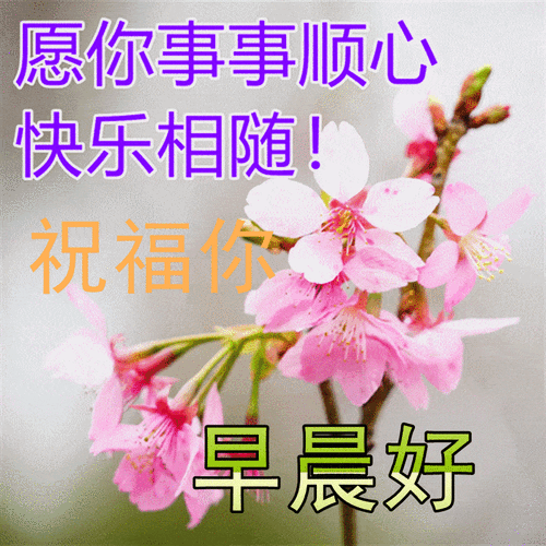 原创8张好看的春天风景图片问候语免打字春日唯美早上好图片带祝福语