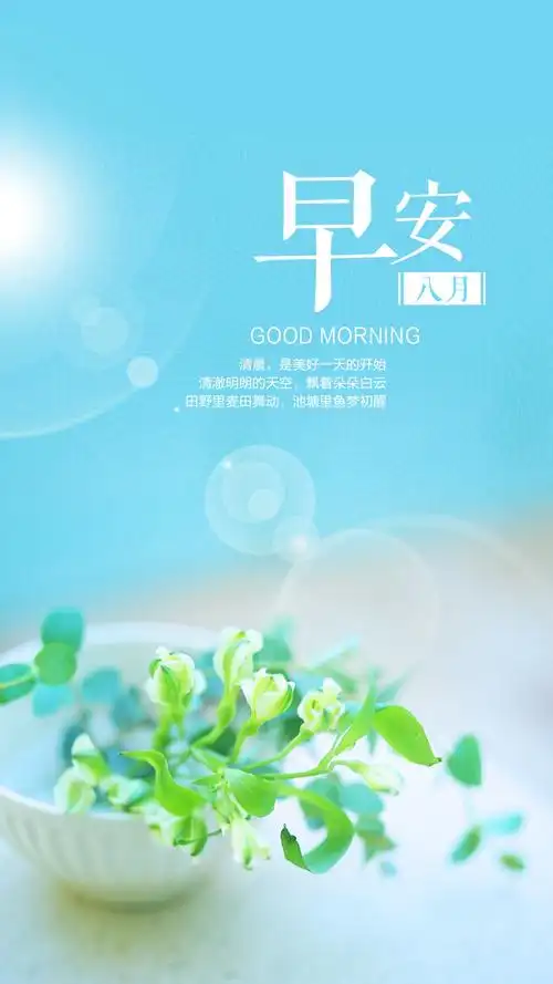小清新绿植八月早安你好