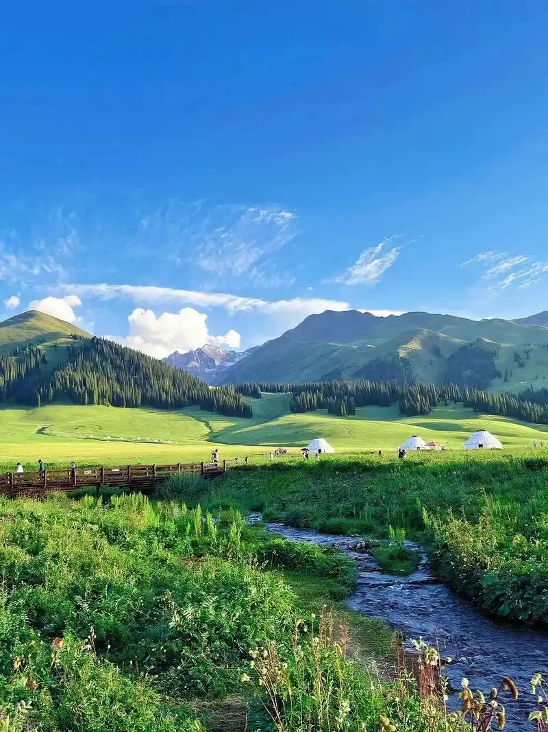 感受大自然的气息.#美丽的草原风光无限 #蓝天白云绿草地 # - 抖音