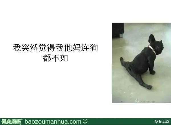 我突然觉得我他妈连狗都不如