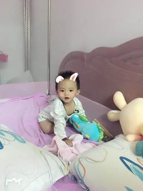 喵喵一岁生活照