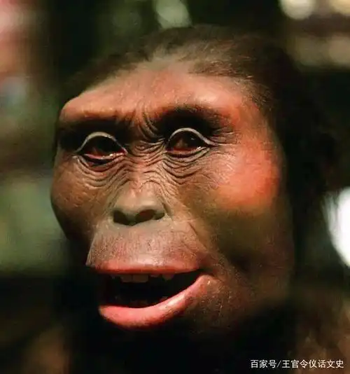 人类老祖母露西