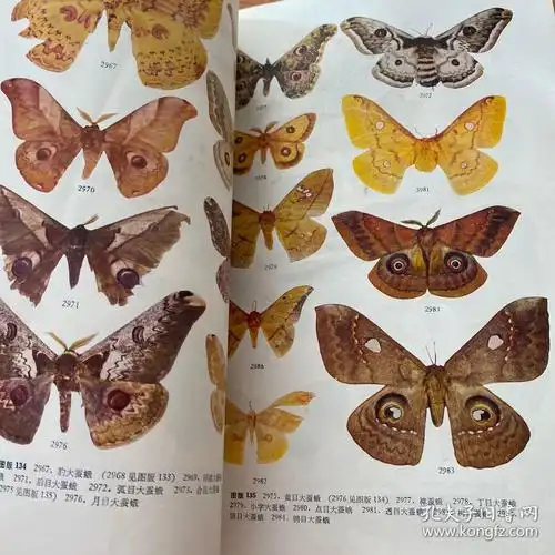 中国蛾类图鉴 ⅢⅣ