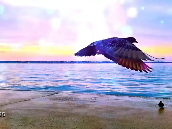 c1335和你一样歌曲演唱舞台led大屏幕背景视频素材