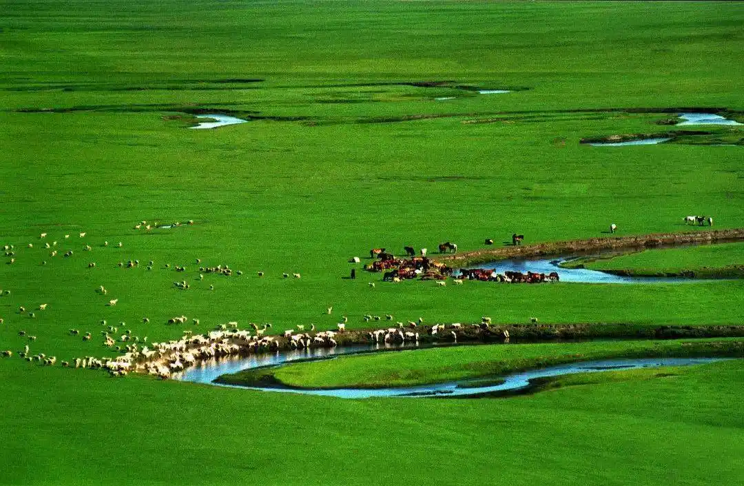 锡林郭勒草原:草色连天天际遥 绿林映水水映山 - 生态北疆 - 内蒙古